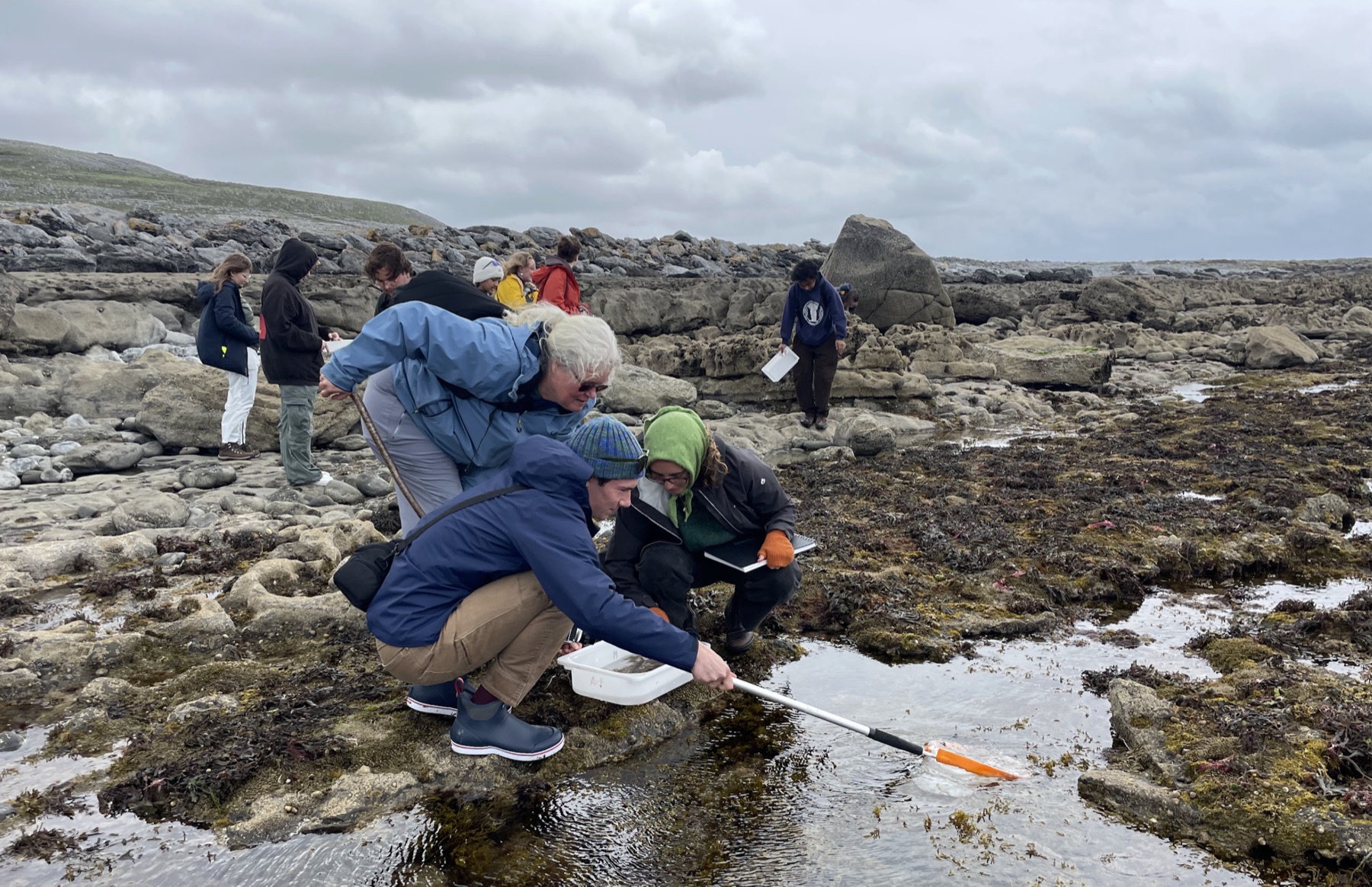 Students investigating tide pools on the Burren coast