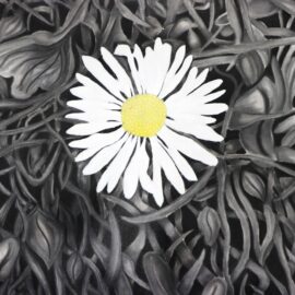 Beth Alexander