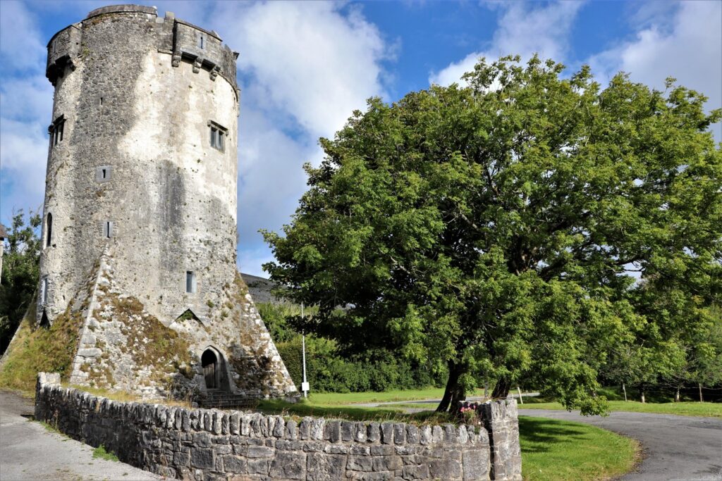 Newtown Castle and its grounds beside Newtown House